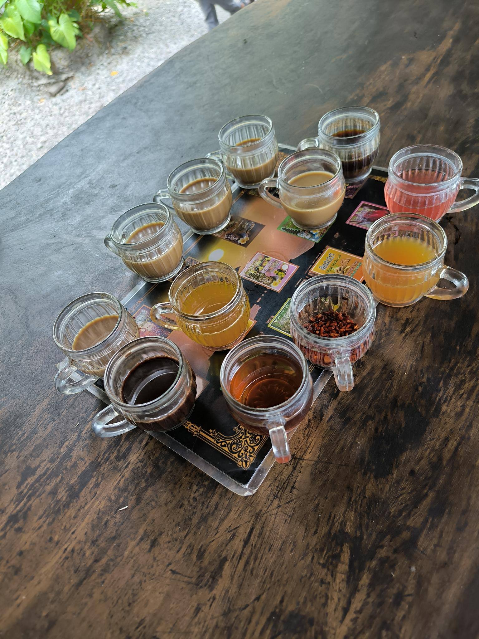 ジャコウネココーヒー「Kopi Luwak」を堪能【知りたい！現地の暮らし】